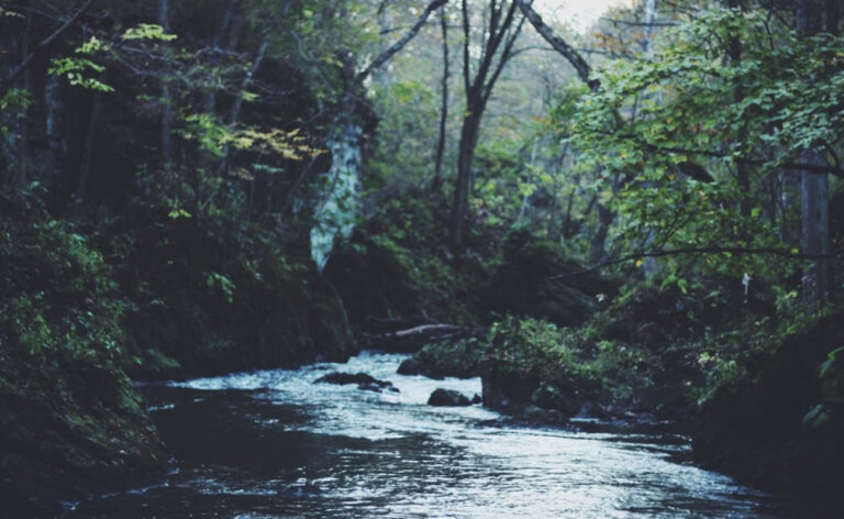 Habla y entra al suministro de dios (Parte 3/3)