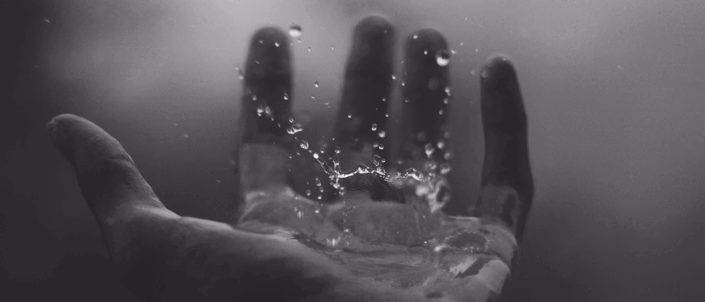 Ver la oferta y dar las gracias