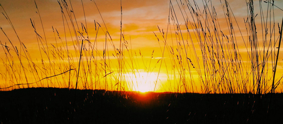 口に出して語り神の備えの中へ踏み出す（パート3/3）